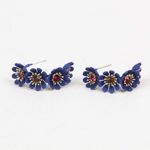 Ladies Earrings