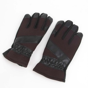 Man Ski Gloves